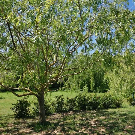 Campismo de Luxo Le Sicilien Dome Et Privatif Saint-André-de-Roquelongue